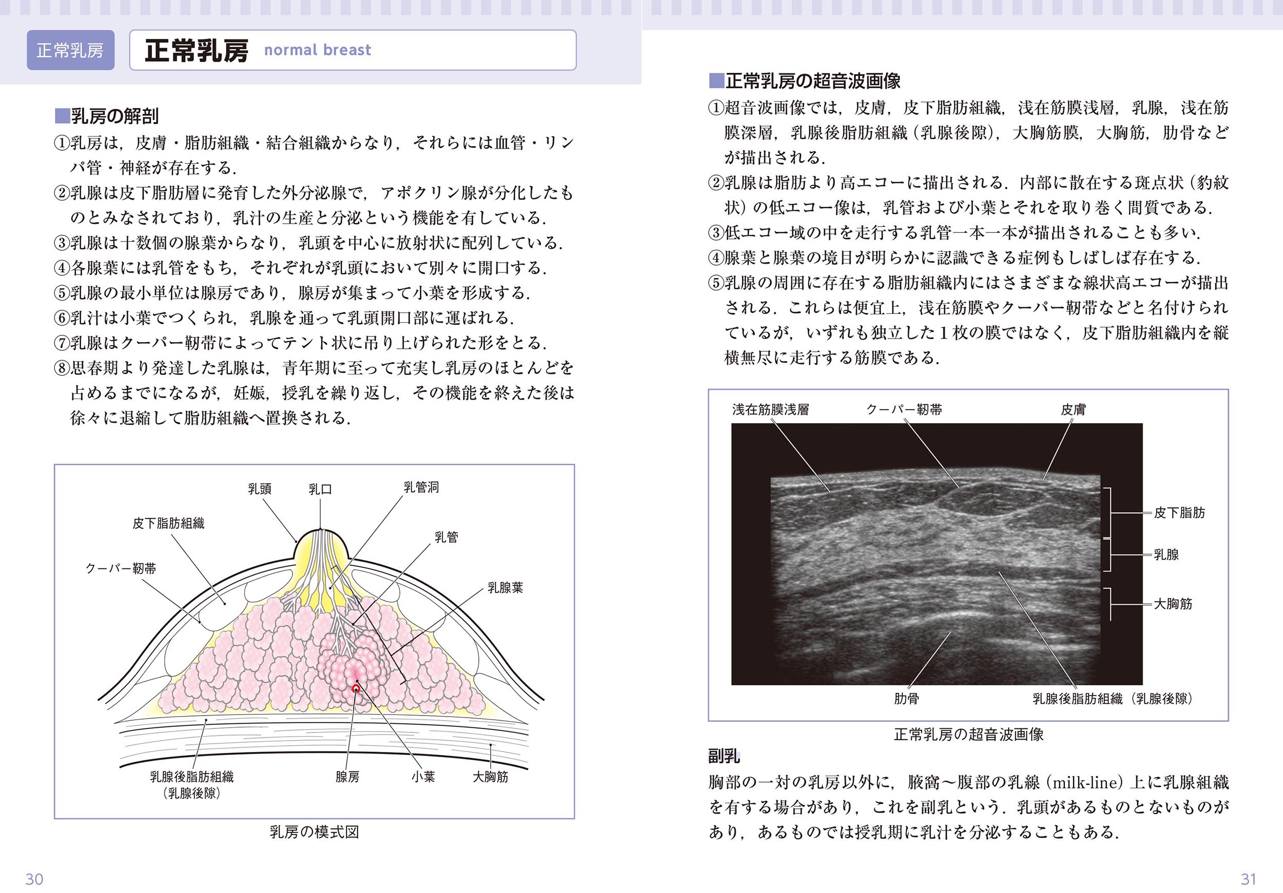 乳房アトラス〔第４版〕見本２